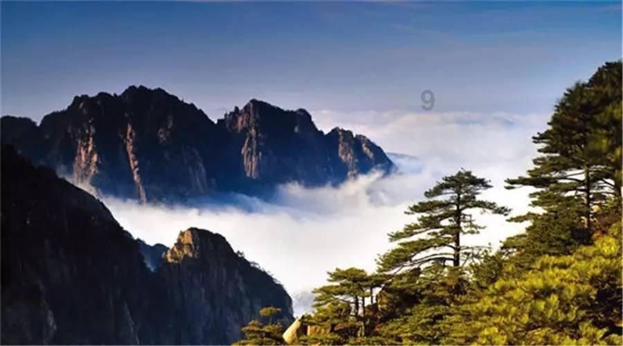 刘邦为什么一定要除掉张敖呢？真相是什么？游戏画面